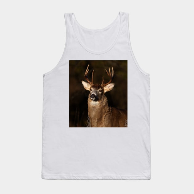 I am 'King' of this forest! - White-tailed Deer Tank Top by Jim Cumming